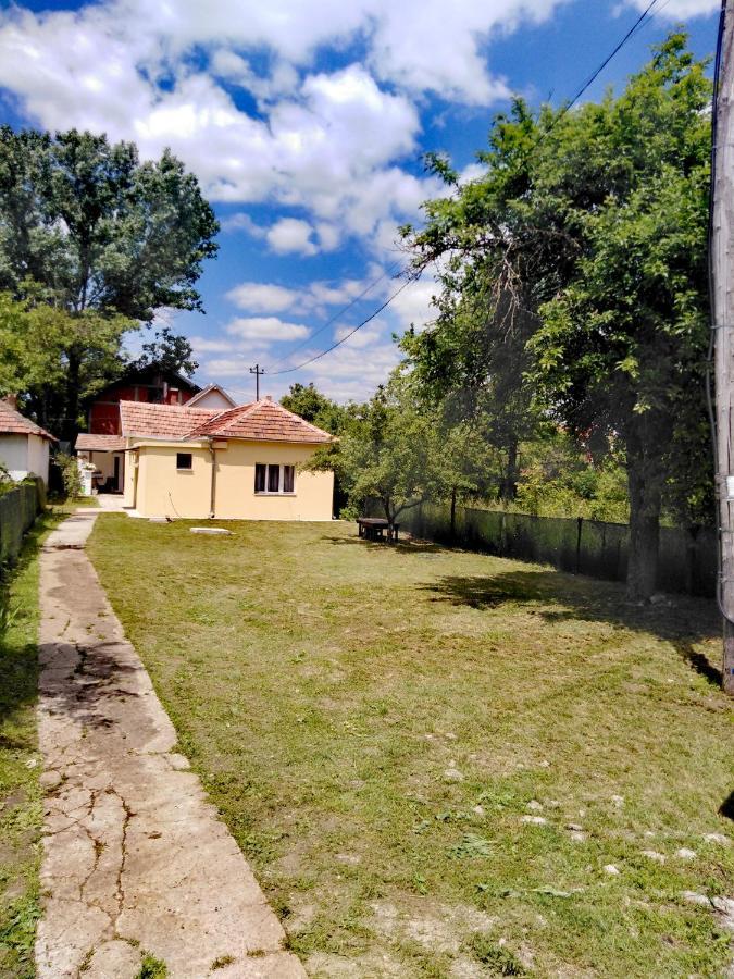 Privatni Smestaj Zlatko Sokobanja Exterior foto