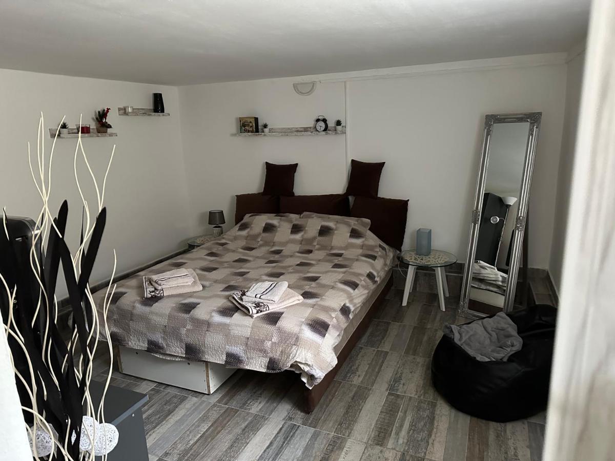 Privatni Smestaj Zlatko Sokobanja Exterior foto