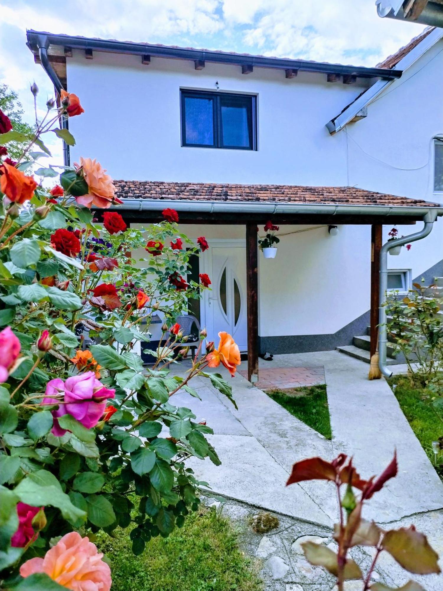 Privatni Smestaj Zlatko Sokobanja Exterior foto